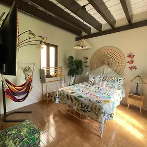 https://cozy-garden-apt-at-casa-of-essence-located-in-of-old-san-juan.sanjuanpuertorico-hotels.com